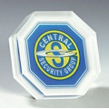 Lucite Octagon Stock Shape Embedment / Award